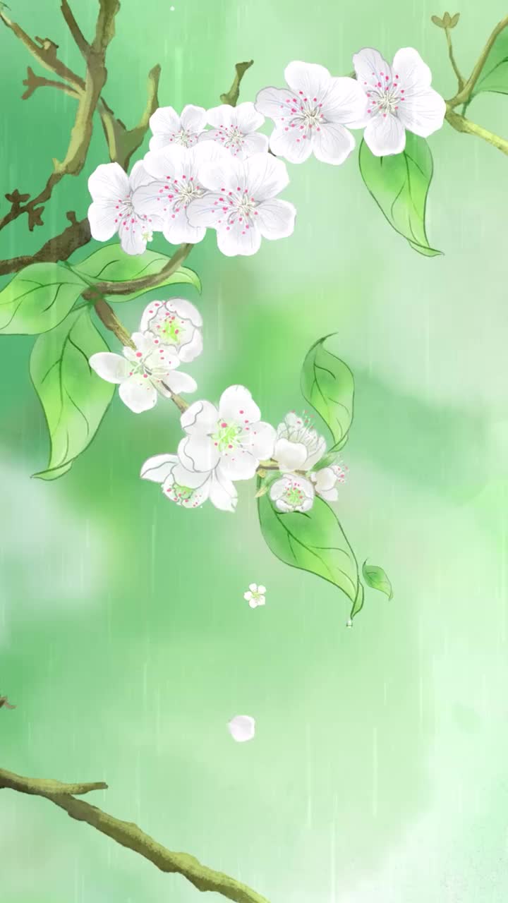 今日清明