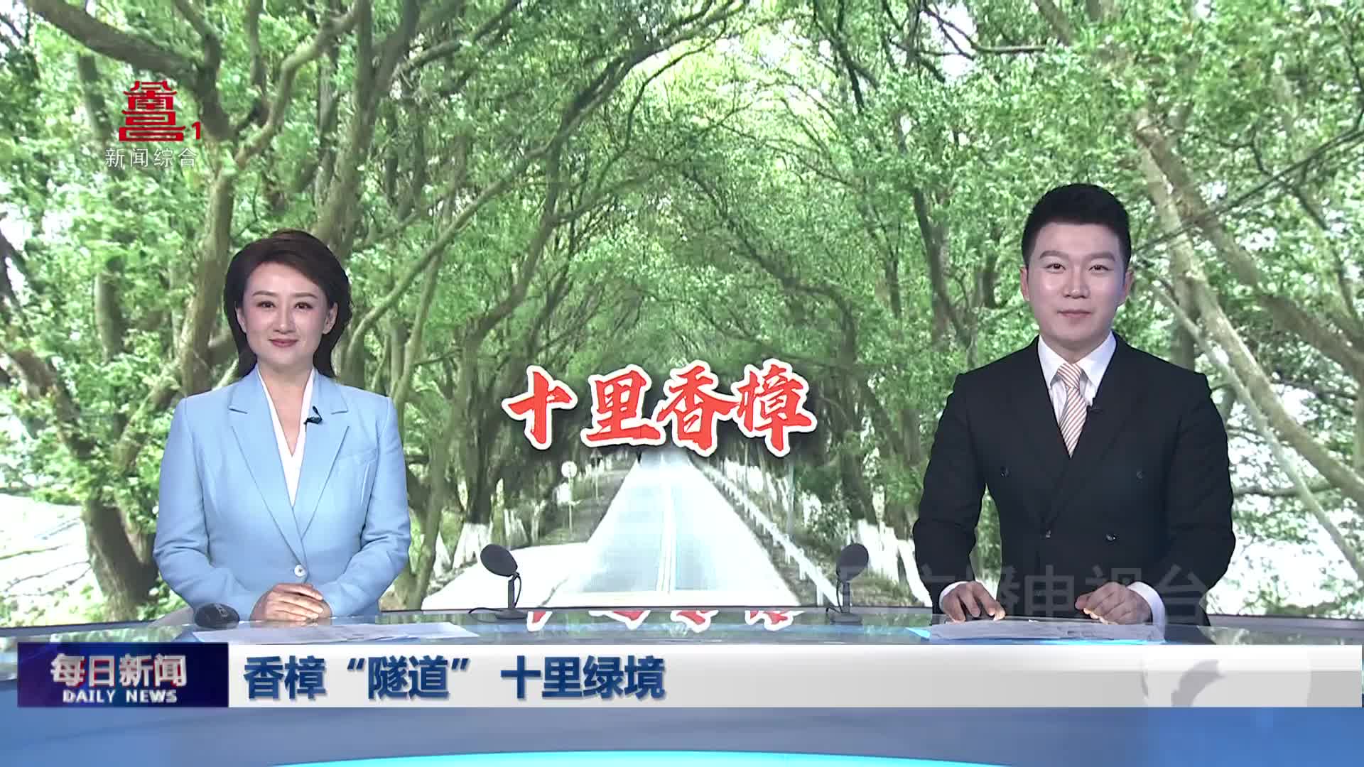 香樟“隧道” 十里绿境