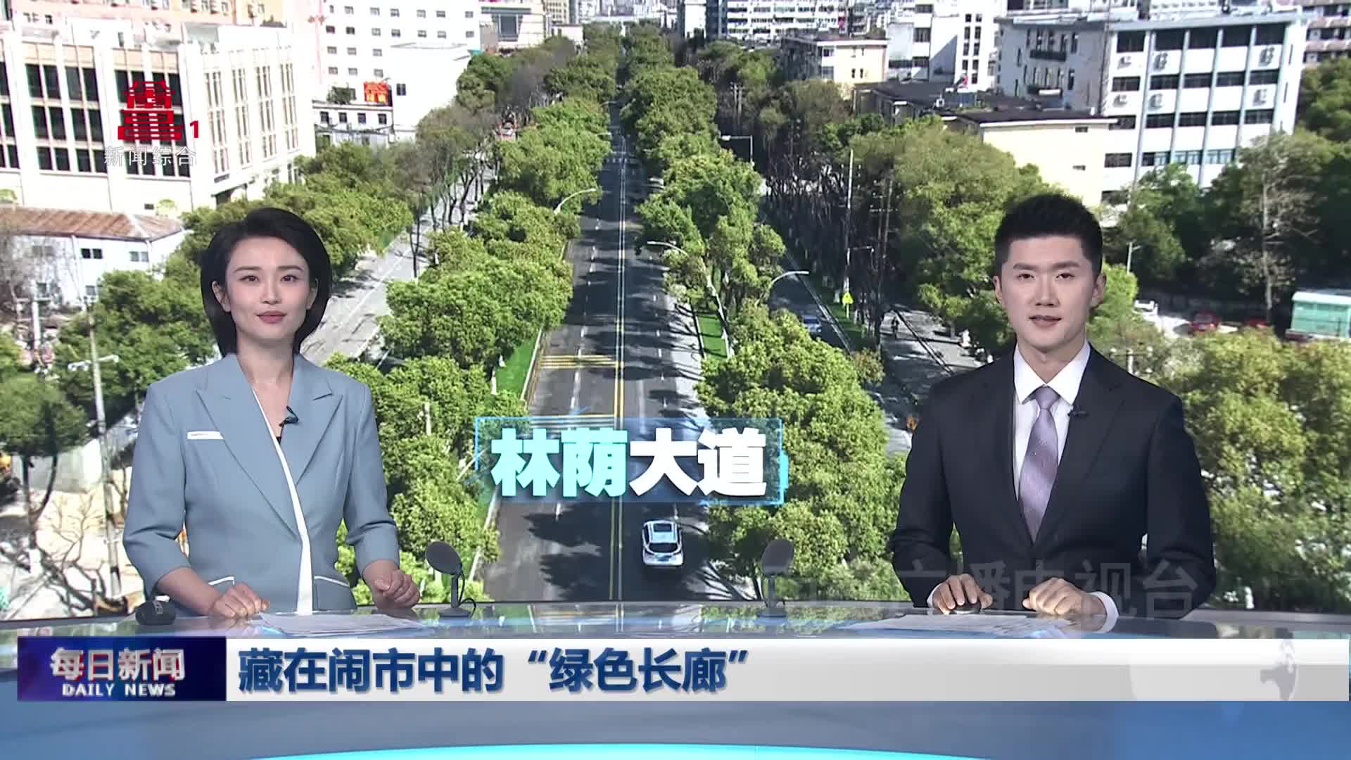 藏在闹市中的“绿色长廊”