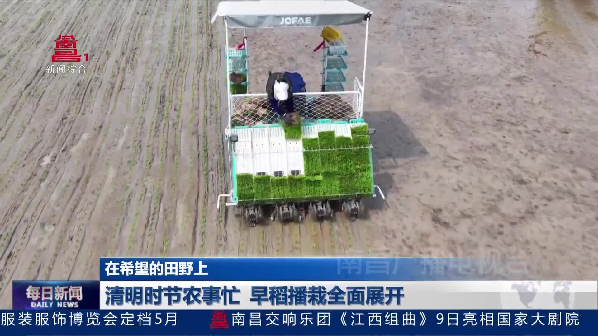 清明时节农事忙  早稻播栽全面展开