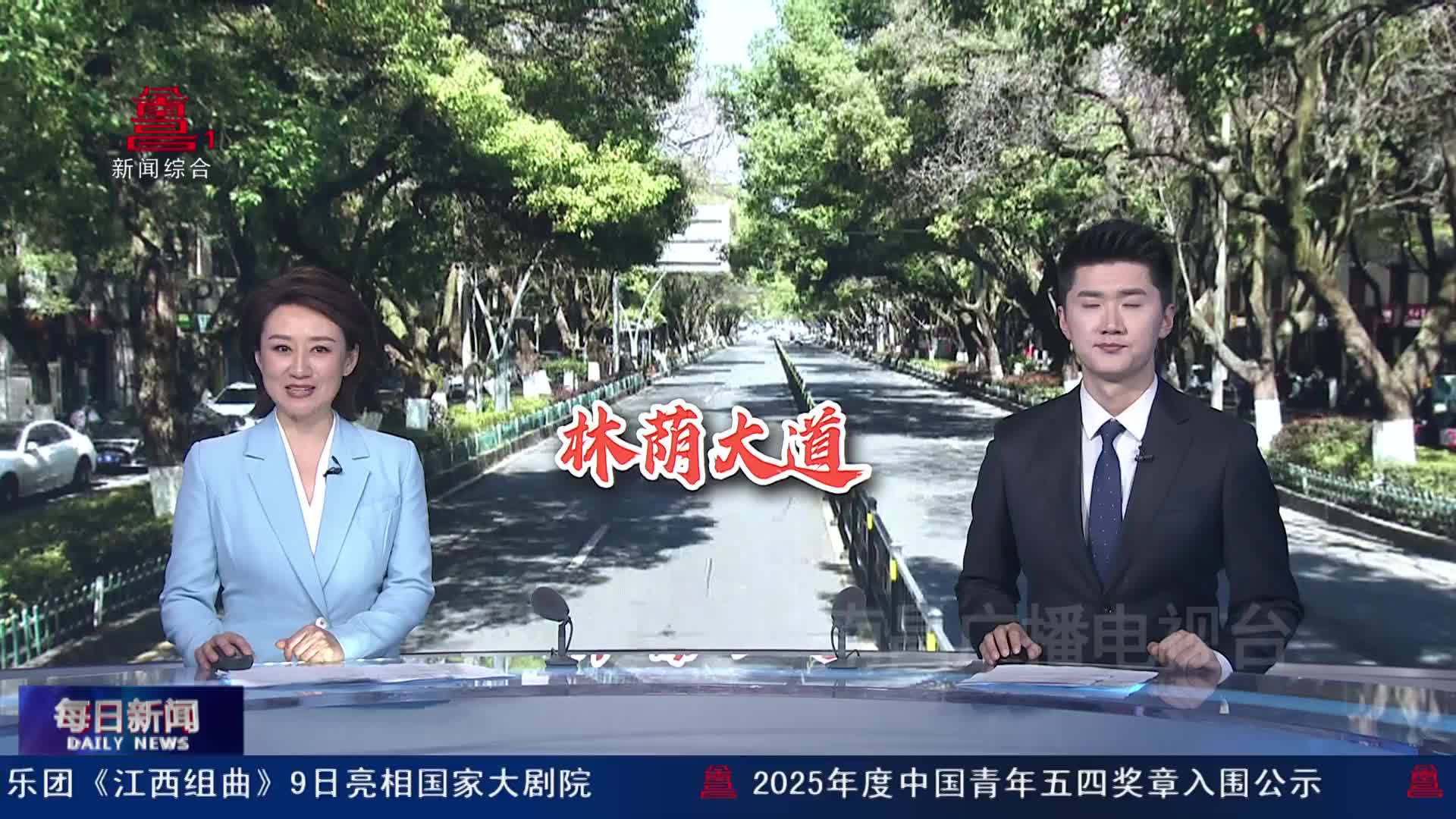 树冠葱郁 道路荫浓