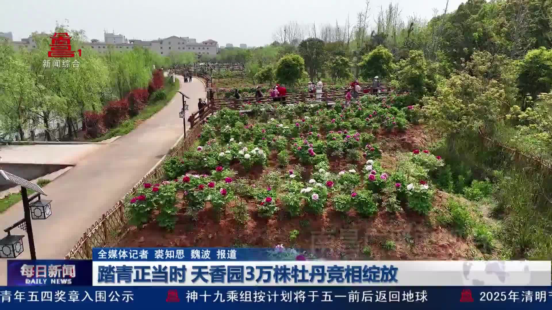 踏青正当时 天香园3万株牡丹竞相绽放