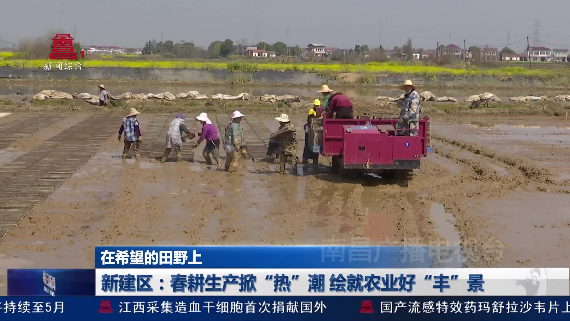 新建区：春耕生产掀“热”潮 绘就农业好“丰”景