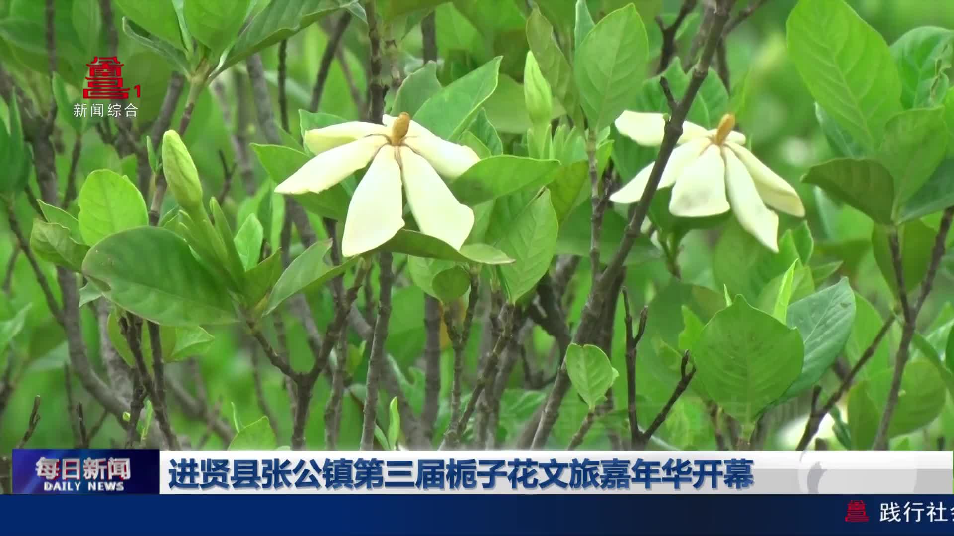 进贤县张公镇第三届栀子花文旅嘉年华开幕