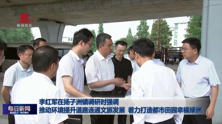 李红军在扬子洲镇调研时强调 推动环境提升道路连通文旅发展 着力打造都市田园幸福绿洲