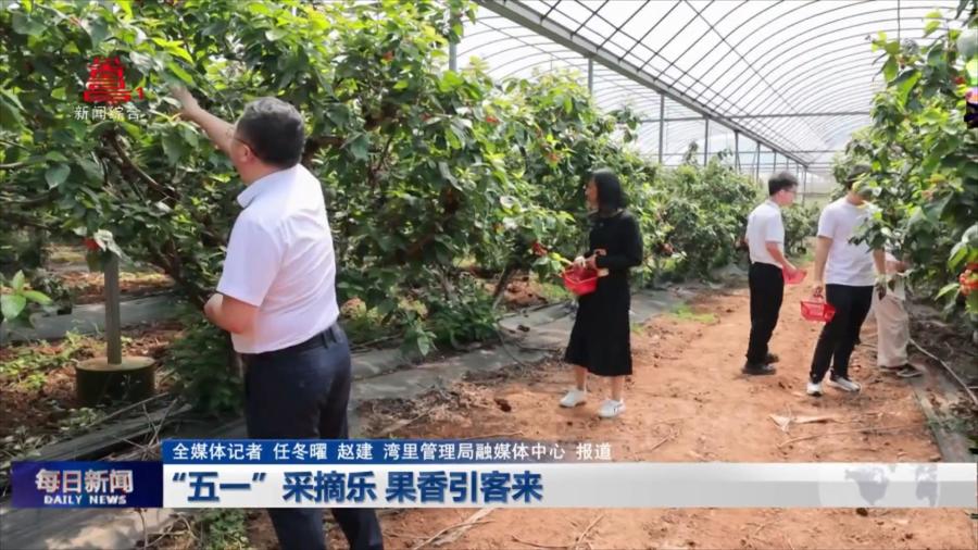 “五一”采摘乐 果香引客来