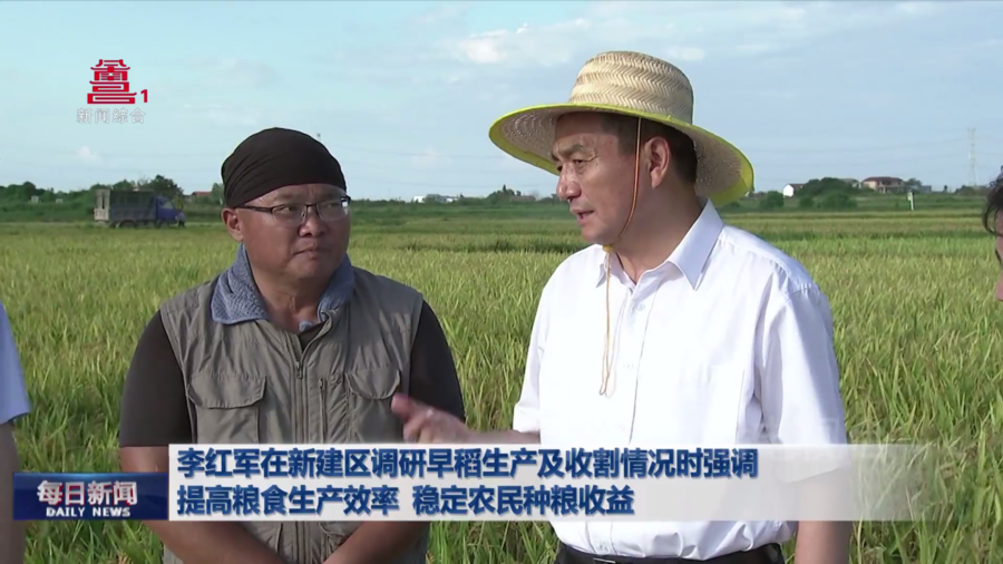 李红军在新建区调研早稻生产及收割情况时强调 提高粮食生产效率 稳定农民种粮收益
