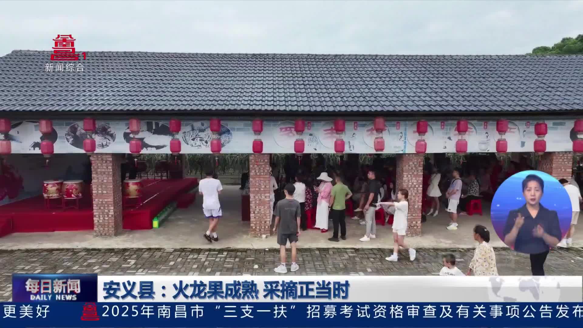 安义县：火龙果成熟 采摘正当时