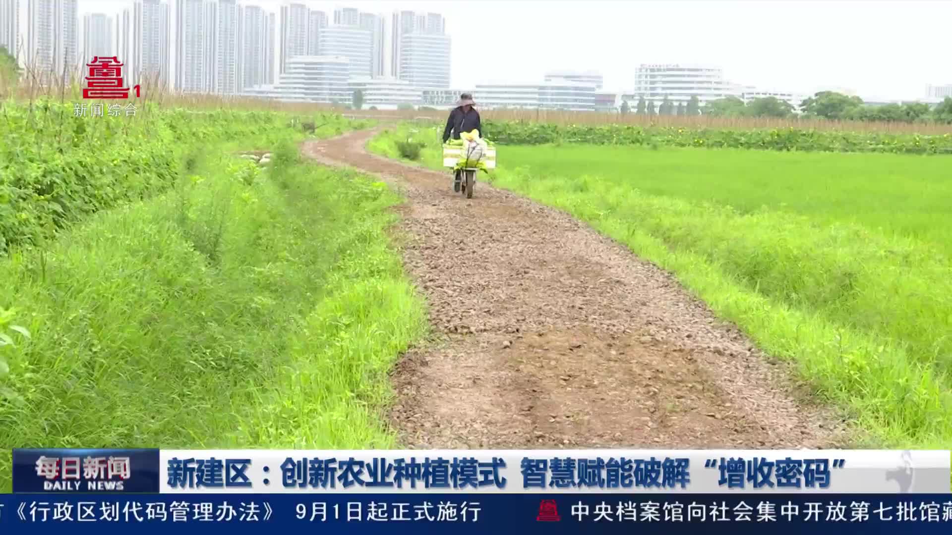 新建区：创新农业种植模式 智慧赋能破解“增收密码”
