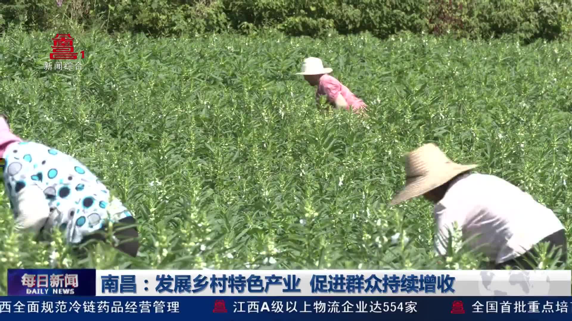 南昌：发展乡村特色产业 促进群众持续增收