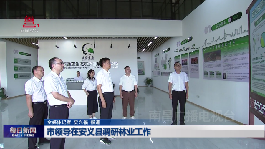 市领导在安义县调研林业工作