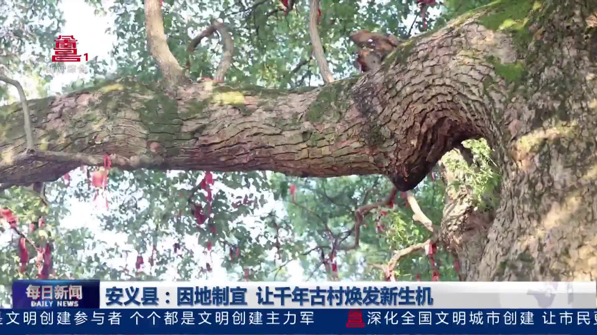 安义县:因地制宜  让千年古村焕发新生机 安义县:因地制宜  让千年古村焕发新生机