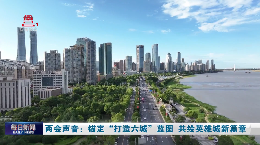 两会声音：锚定“打造六城”蓝图 共绘英雄城新篇章