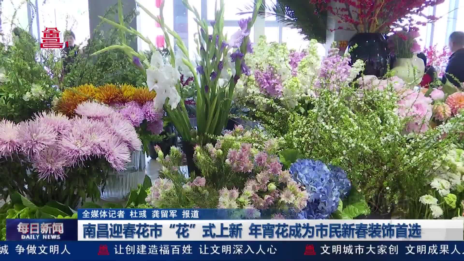 南昌迎春花市“花”式上新  年宵花成为市民新春装饰首选