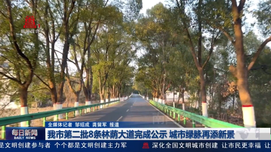 我市第二批8条林荫大道完成公示 城市绿脉再添新景