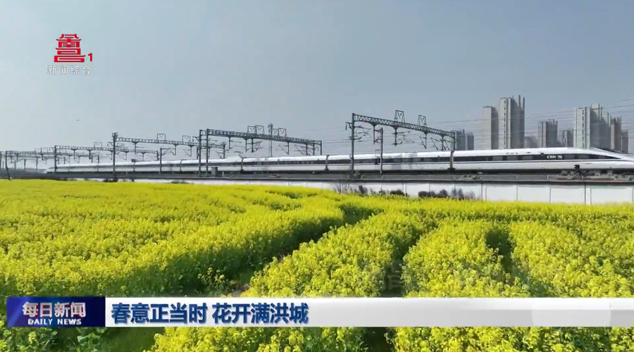 春意正当时 花开满洪城