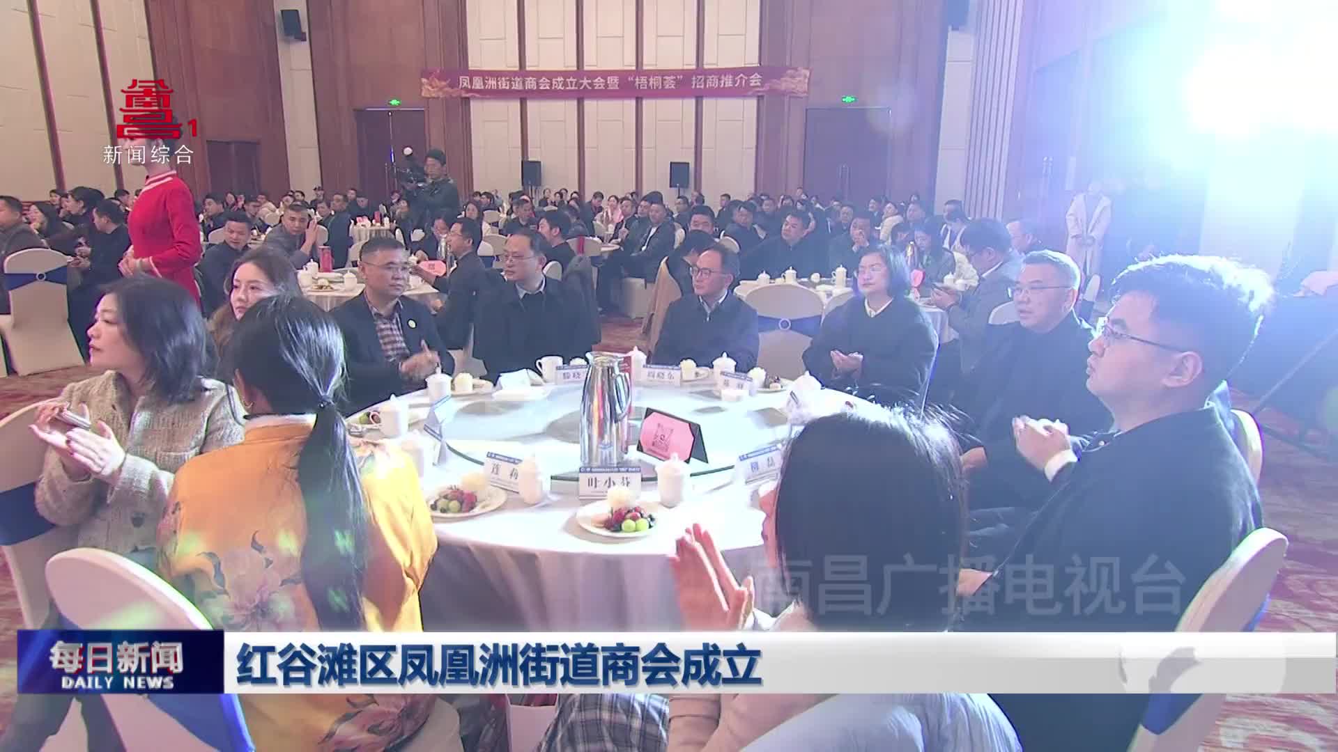 红谷滩区凤凰洲街道商会成立