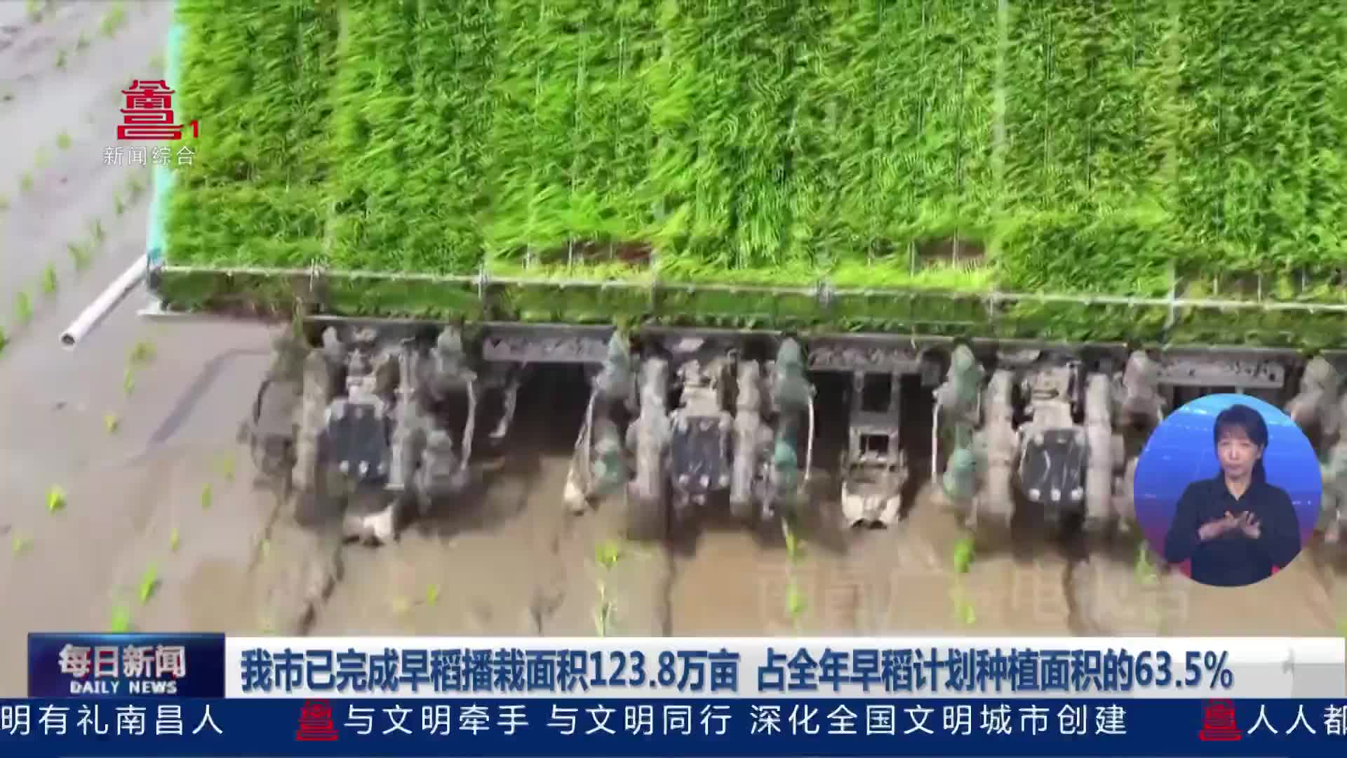 我市已完成早稻播栽面积123.8万亩 占全年早稻计划种植面积的63.5%