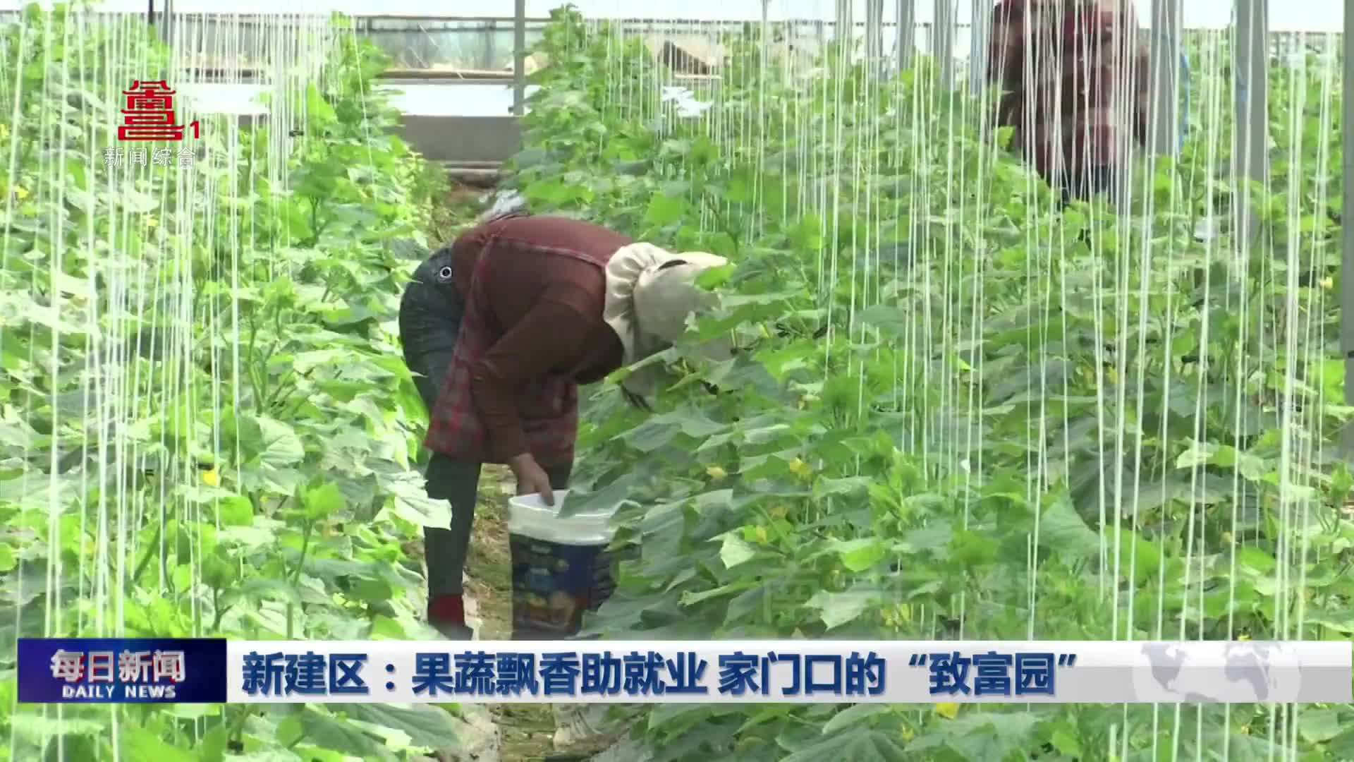 新建区：果蔬飘香助就业 家门口的“致富园”