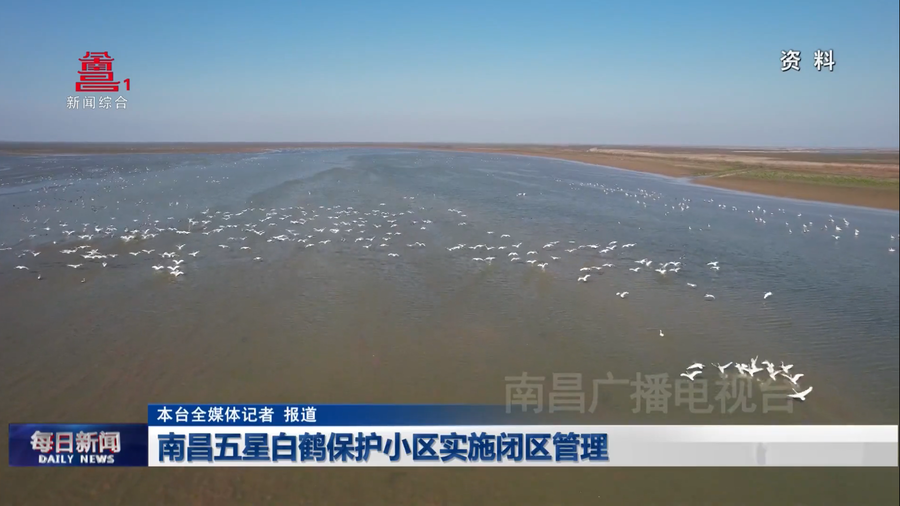 南昌五星白鹤保护小区实施闭区管理