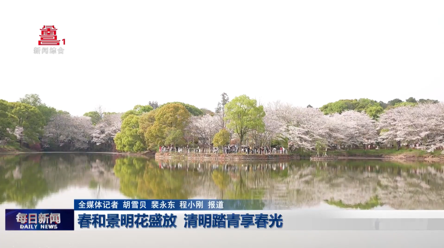 春和景明花盛放 清明踏青享春光
