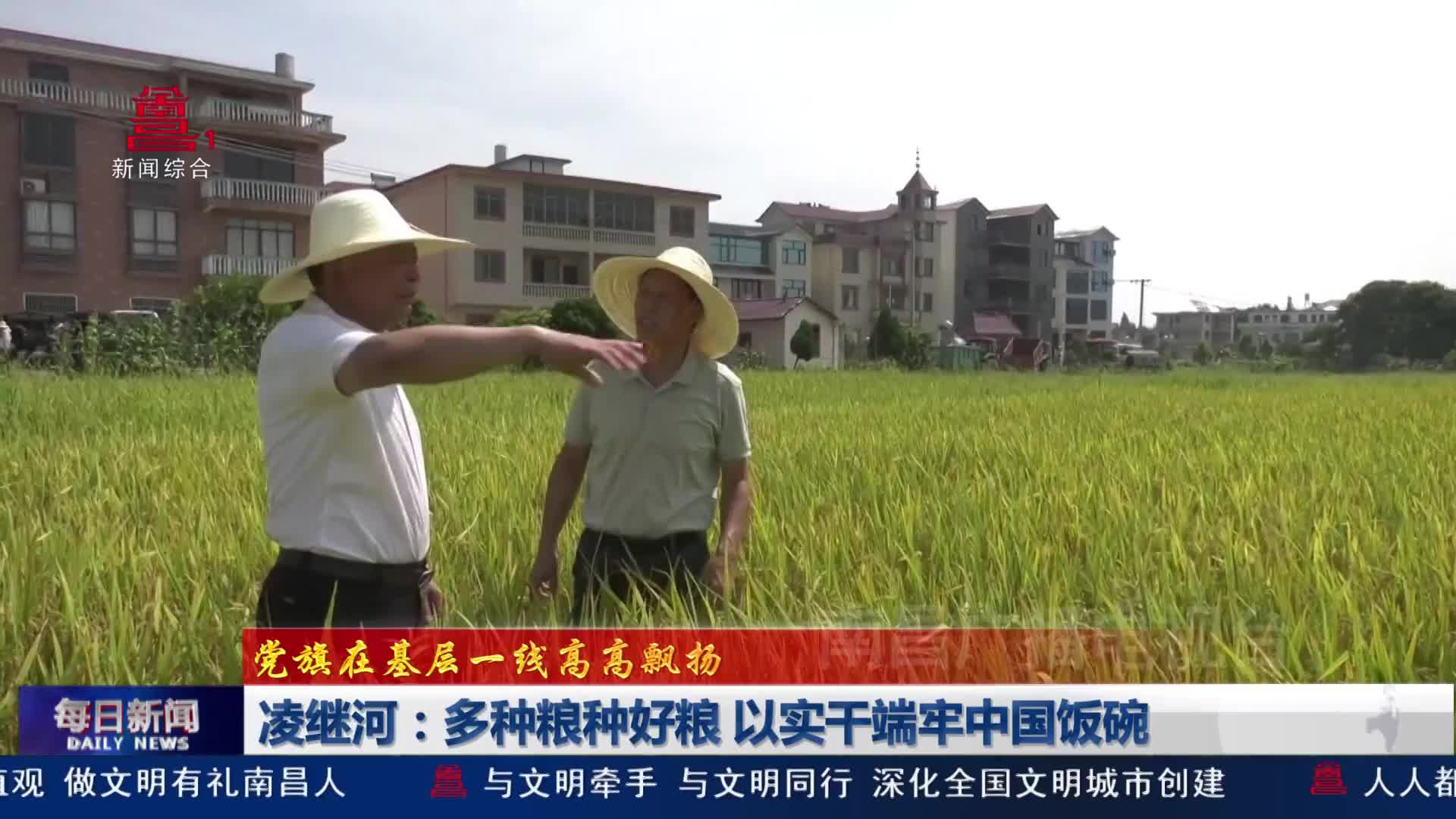 凌继河：多种粮种好粮 以实干端牢中国饭碗