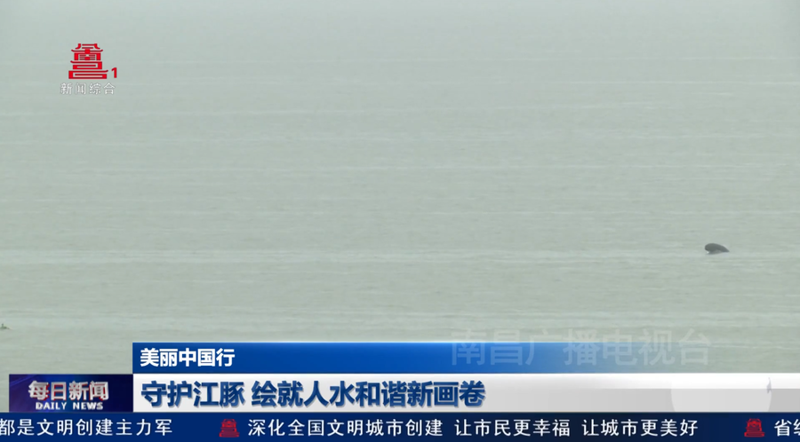 守护江豚 绘就人水和谐新画卷