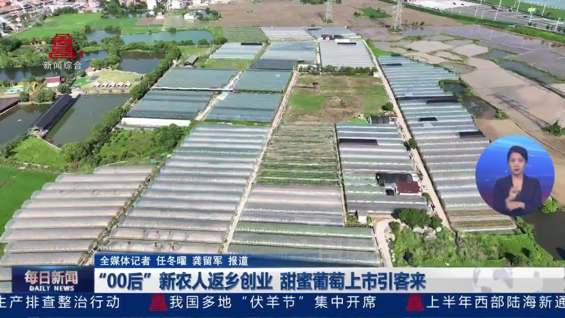 “00后”新农人返乡创业  甜蜜葡萄上市引客来