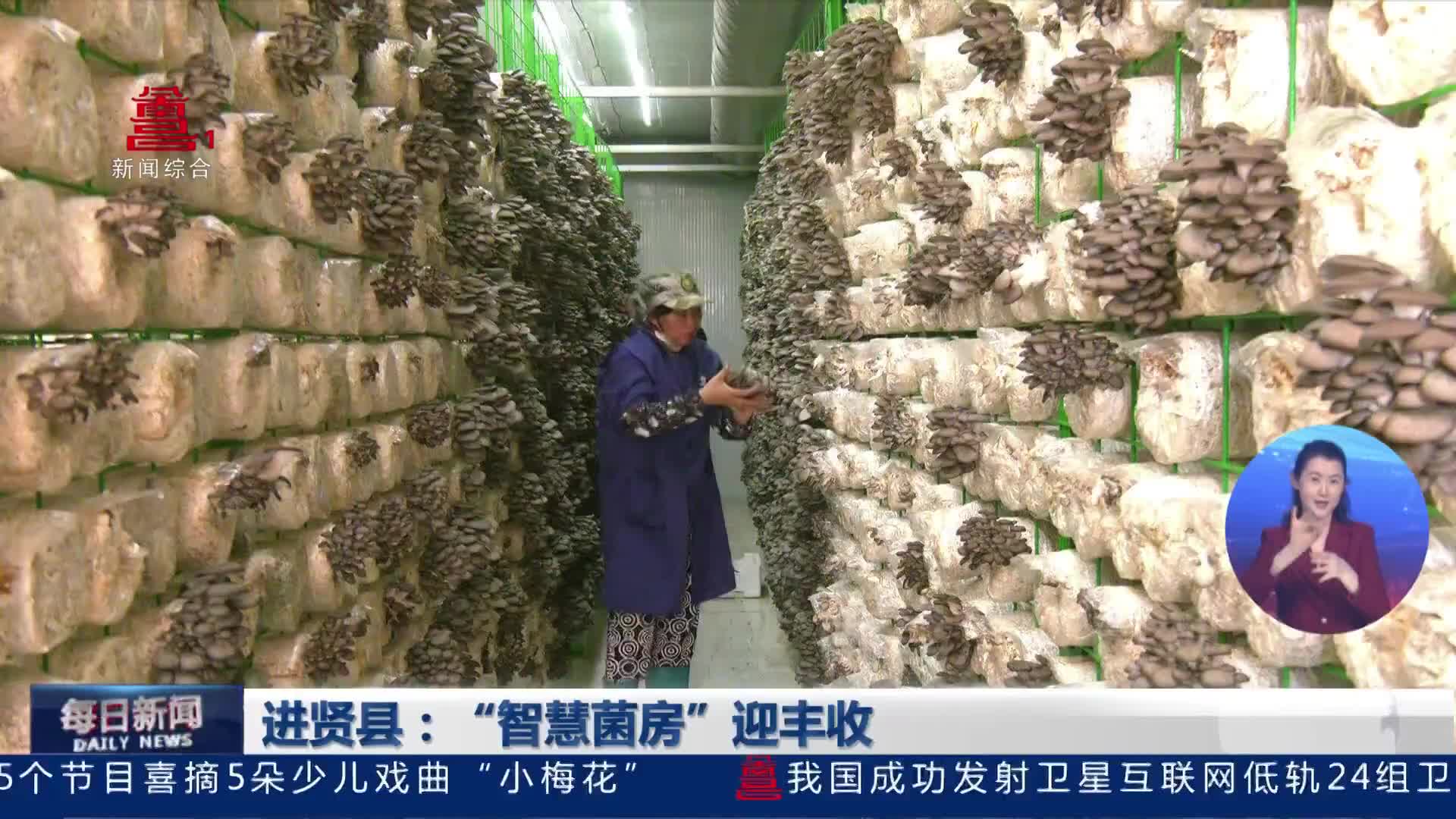 进贤县：“智慧菌房”迎丰收